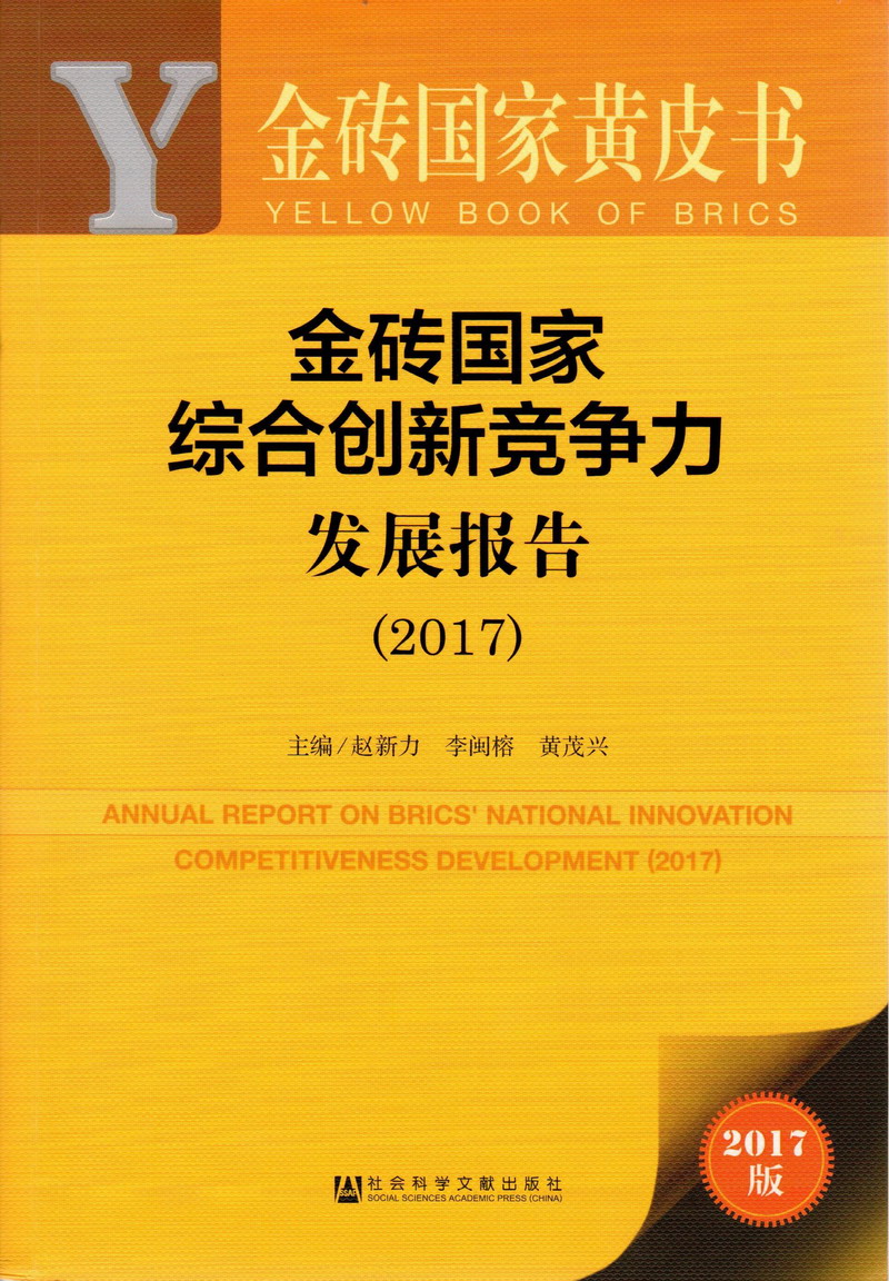 日韩大鸡巴日逼免费视频金砖国家综合创新竞争力发展报告（2017）